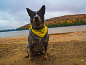 Algonquin with man's best friend.