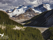 The Long and Winding Road