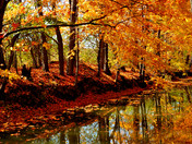 Autumn Along the River