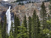 Takakkaw Falls