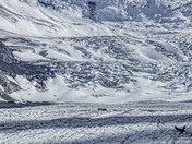 Bus Ride on the Glacier