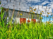 Old Barn with Canadian Flag