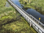 Point Pelee Boardwalk