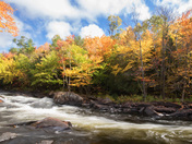 Oxtongue Rapids
