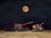 Harvest under the Super Moon