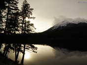 Cabin Lake - Reflections