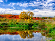 Autumn Pond