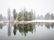 Reflecting in the Snow
