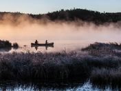 Misty Lake, Autumn Grasses Covered with frost