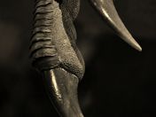 Let me point the way