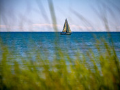 sail boat 