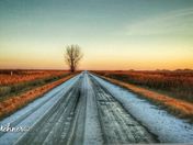 The Road Less Travelled