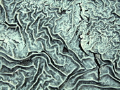 Broken in between, solid outside it Fine lines