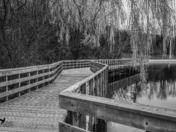 Boardwalk at Kelso Lake