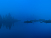 Blue fog 