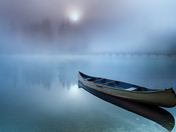 MORNING GLORY OF EMERALD