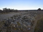 Dinosaur Provincial Park