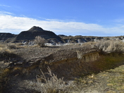 Dinosaur Provincial Park