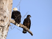 Catching Some Winter Rays