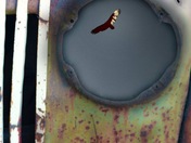 Old with a new twist