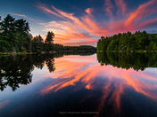 Phoenix Rising - Noganosh Lake Provincial Park