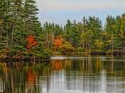 Colors, Reflections & a Heron