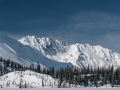 Purcell Mountain back country