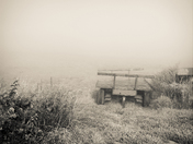 Wagon in the Mist