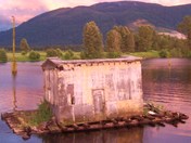 The Shack on the Slough