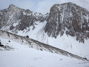 Snow covered Ptarmigan