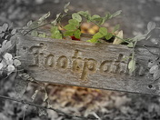 Footpath