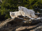 Wrapped in sunshine and wool