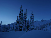 Snow blanket at dawn