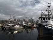 Working Boats In A Big City