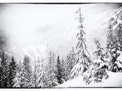 Ski Runs on Cypress Mountain