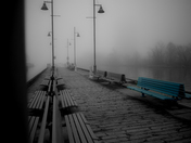 The Little Blue Bench