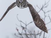 Plaisance National Park is a national park of Quebec