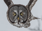 Plaisance National Park is a national park of Quebec