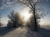 Sunrise in Winter