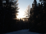 Openongo Road at Dawn