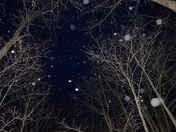 Snowflakes are kisses from heaven