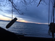 West Coast Best Coast