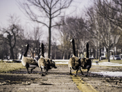 Spring is here and so are they 