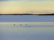 Evening calm and rest