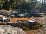 Ice Marking the Tide