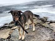 I am sticking around