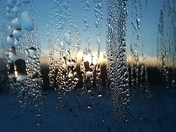 Morning Droplets On Window