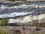 One is different from the other