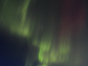 The Fat Belly Has Exploded