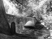 Bridge in Black and White